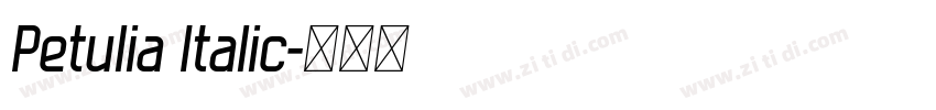 Petulia Italic字体转换